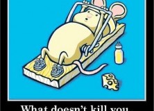 What Doesn’t Kill you……..